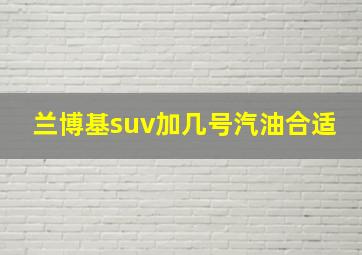 兰博基suv加几号汽油合适