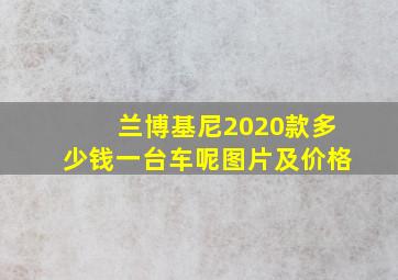 兰博基尼2020款多少钱一台车呢图片及价格