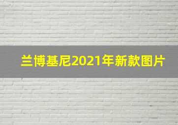 兰博基尼2021年新款图片