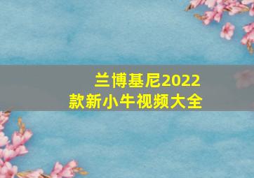 兰博基尼2022款新小牛视频大全