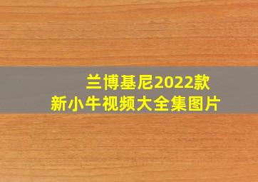 兰博基尼2022款新小牛视频大全集图片