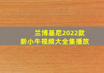 兰博基尼2022款新小牛视频大全集播放