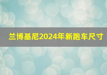 兰博基尼2024年新跑车尺寸