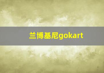 兰博基尼gokart