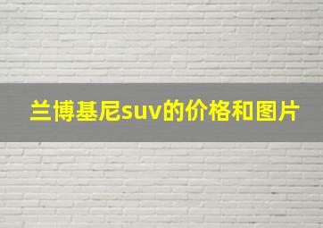 兰博基尼suv的价格和图片