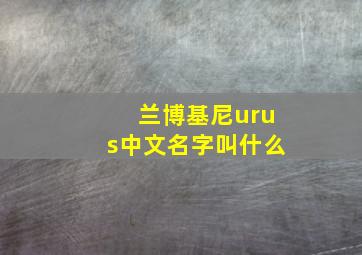 兰博基尼urus中文名字叫什么