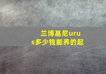 兰博基尼urus多少钱能养的起