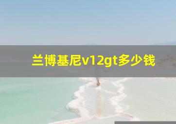 兰博基尼v12gt多少钱