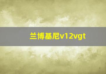 兰博基尼v12vgt