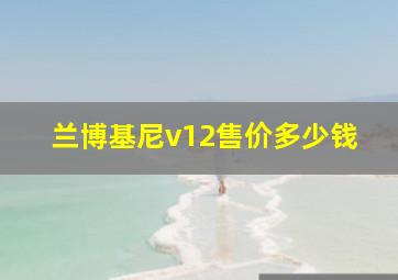 兰博基尼v12售价多少钱