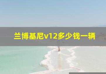 兰博基尼v12多少钱一辆