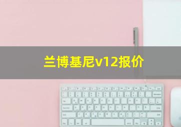 兰博基尼v12报价