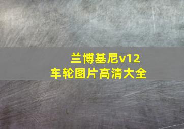 兰博基尼v12车轮图片高清大全