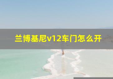 兰博基尼v12车门怎么开