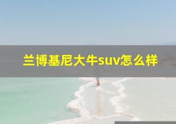 兰博基尼大牛suv怎么样