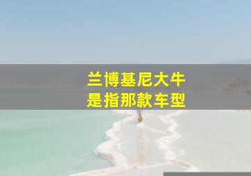 兰博基尼大牛是指那款车型