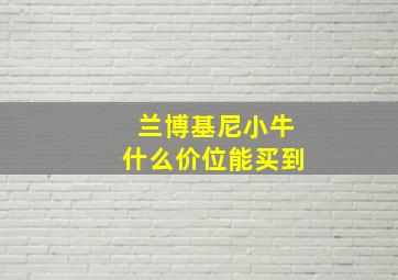 兰博基尼小牛什么价位能买到