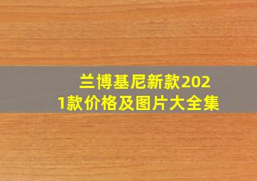 兰博基尼新款2021款价格及图片大全集