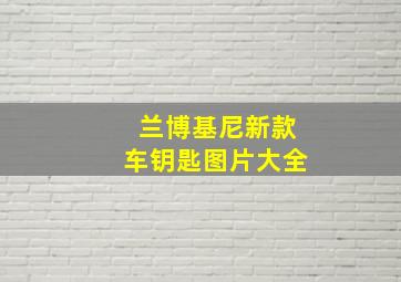 兰博基尼新款车钥匙图片大全