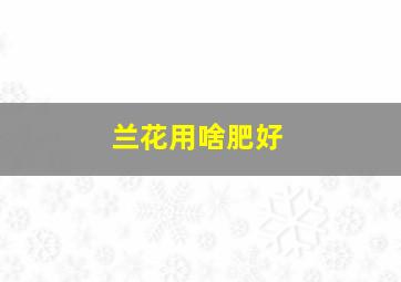 兰花用啥肥好