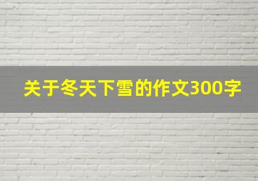 关于冬天下雪的作文300字