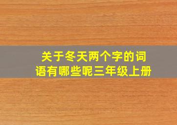 关于冬天两个字的词语有哪些呢三年级上册