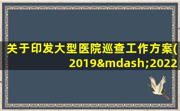 关于印发大型医院巡查工作方案(2019—2022年度)的通知