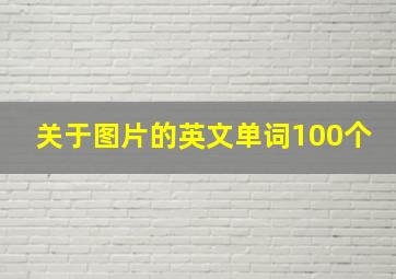 关于图片的英文单词100个