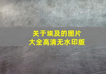 关于埃及的图片大全高清无水印版