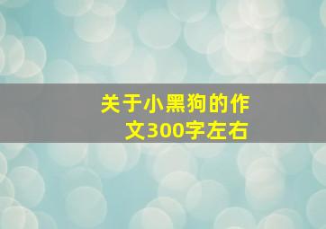 关于小黑狗的作文300字左右