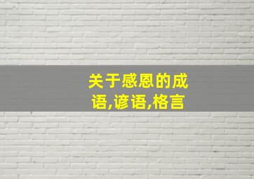 关于感恩的成语,谚语,格言