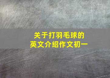 关于打羽毛球的英文介绍作文初一