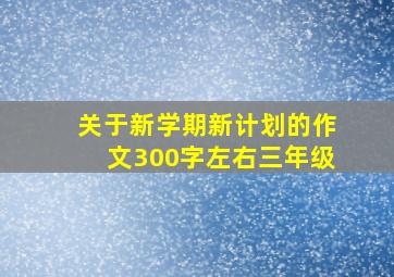 关于新学期新计划的作文300字左右三年级