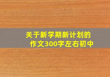 关于新学期新计划的作文300字左右初中