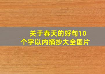 关于春天的好句10个字以内摘抄大全图片