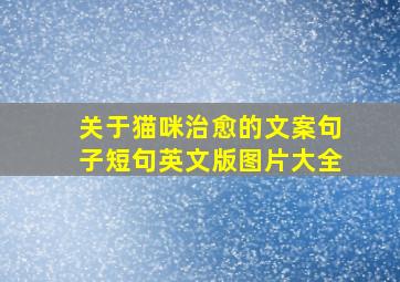 关于猫咪治愈的文案句子短句英文版图片大全