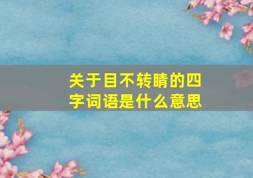 关于目不转睛的四字词语是什么意思