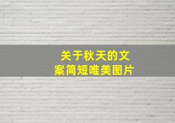 关于秋天的文案简短唯美图片