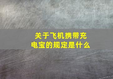 关于飞机携带充电宝的规定是什么