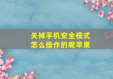 关掉手机安全模式怎么操作的呢苹果