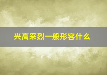 兴高采烈一般形容什么