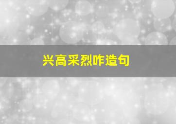 兴高采烈咋造句