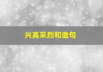 兴高采烈和造句