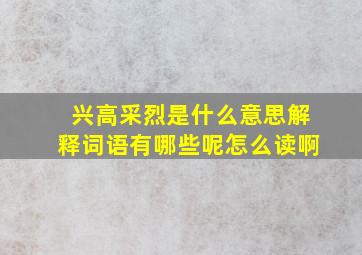 兴高采烈是什么意思解释词语有哪些呢怎么读啊