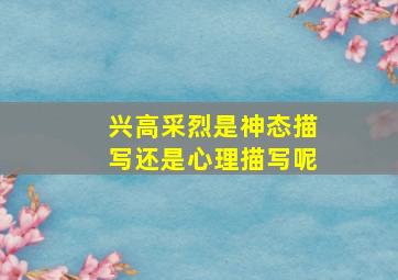 兴高采烈是神态描写还是心理描写呢