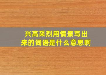 兴高采烈用情景写出来的词语是什么意思啊