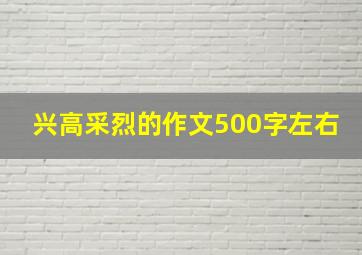 兴高采烈的作文500字左右