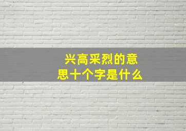 兴高采烈的意思十个字是什么