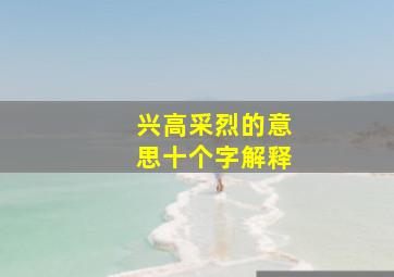 兴高采烈的意思十个字解释