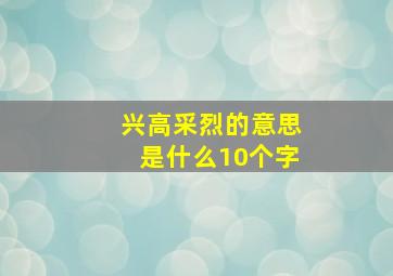 兴高采烈的意思是什么10个字